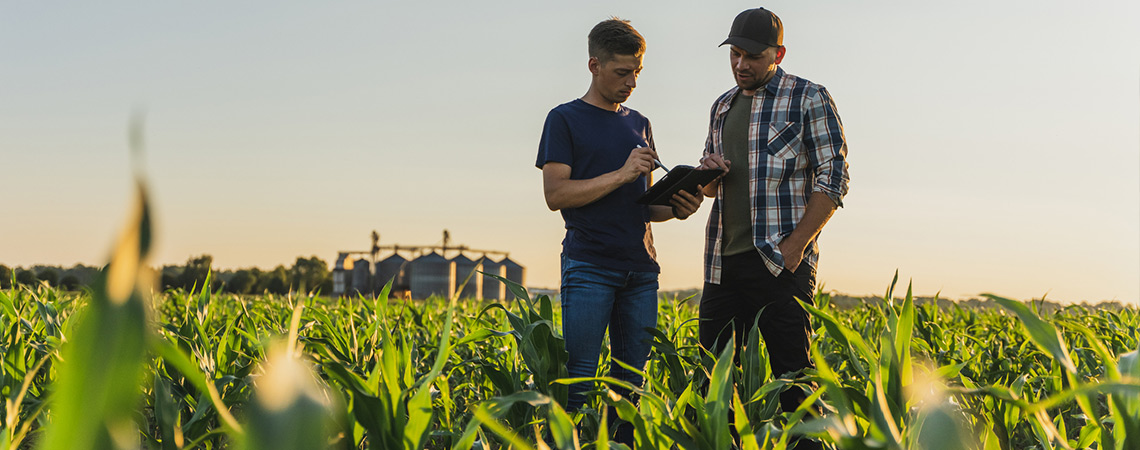 Texas Crop Hail coverage