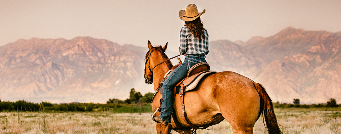 Texas Farm and Ranch insurance coverage