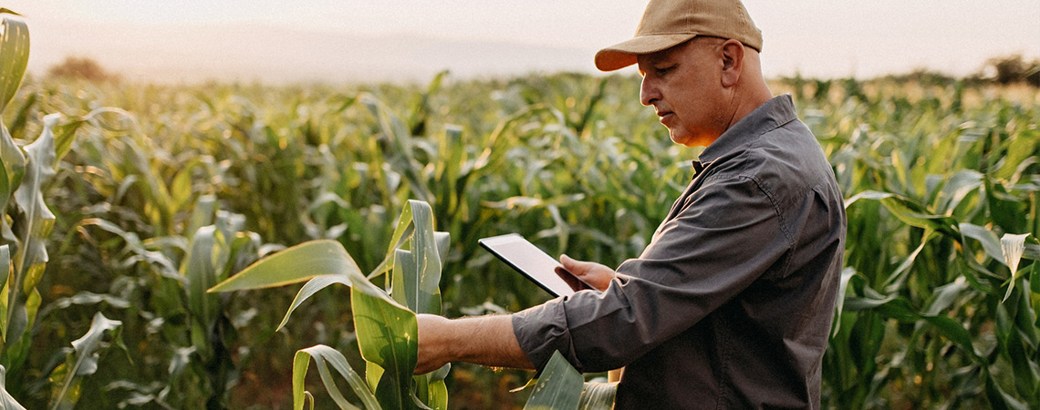 Texas Federal Crop coverage